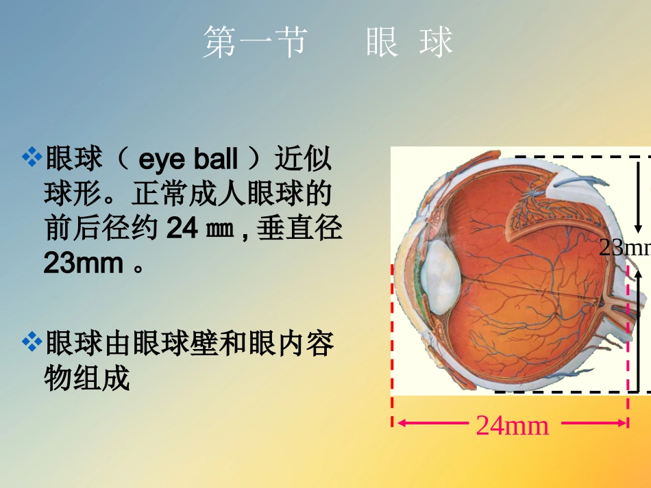 点眼药水_第7页