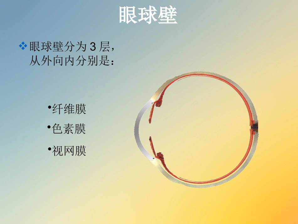点眼药水_第8页