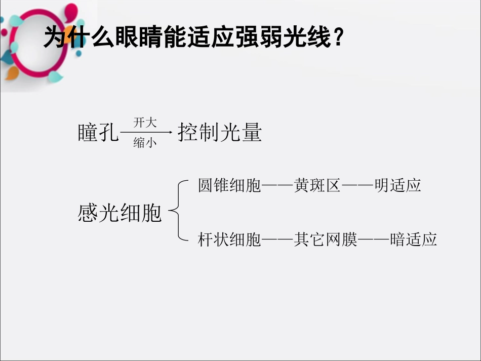 《眼科基础知识》_第13页