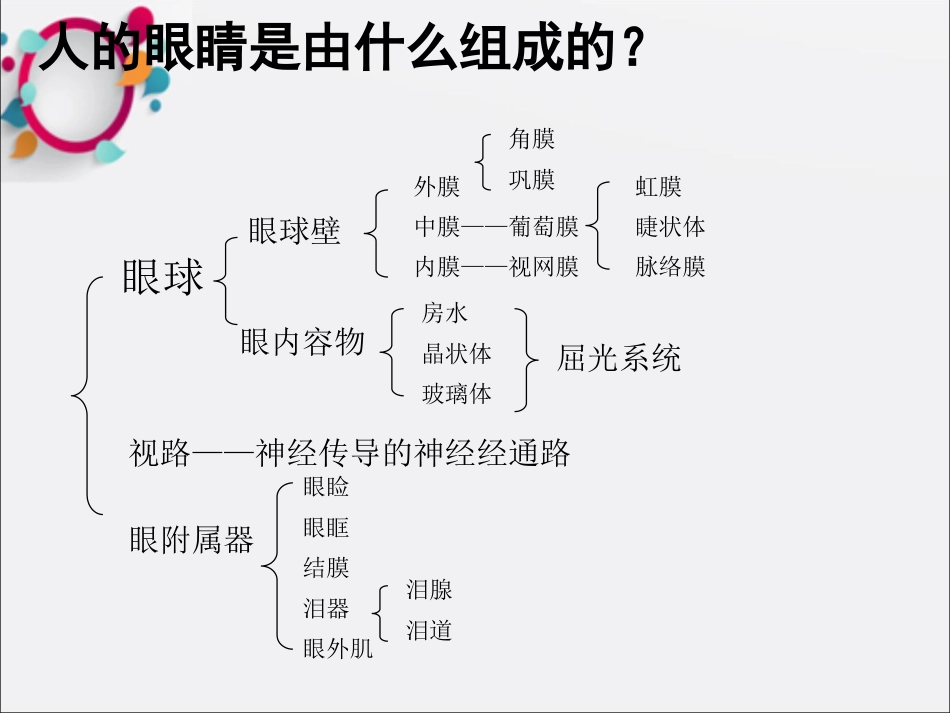 《眼科基础知识》_第3页