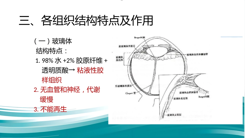常见眼底病基础知识_第4页