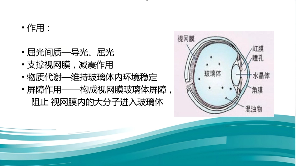 常见眼底病基础知识_第5页