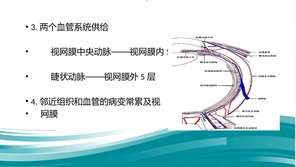 常见眼底病基础知识_第7页