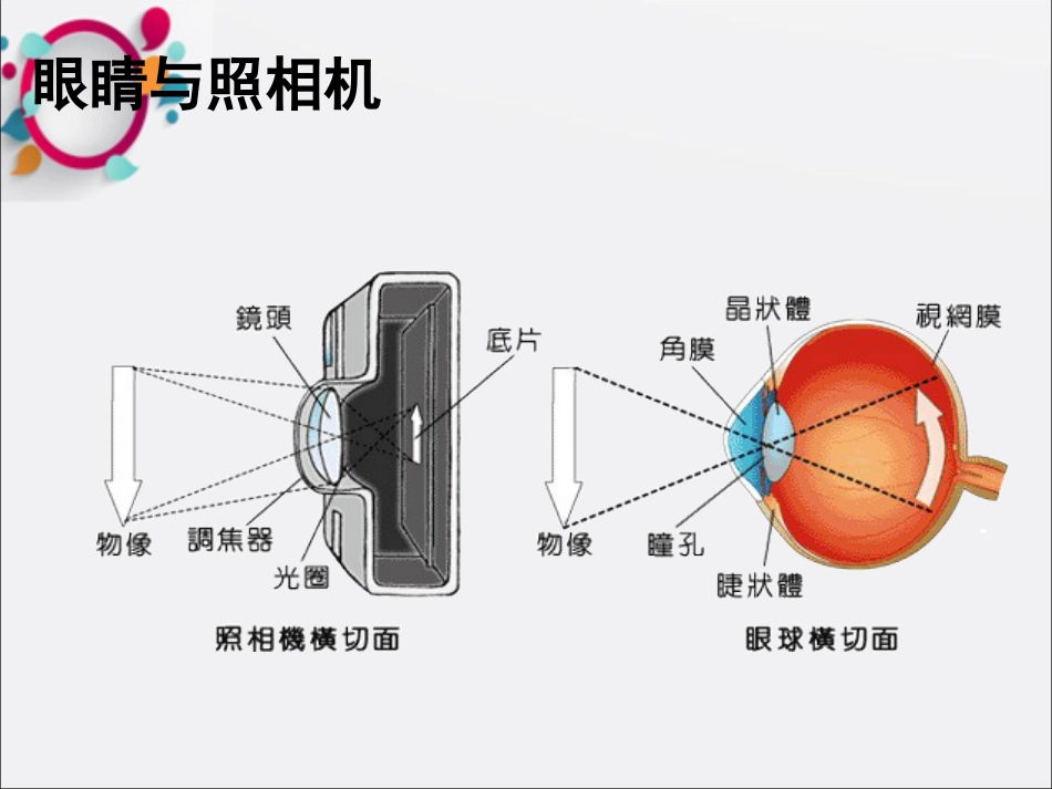 《眼科基础知识》 (1)_第11页