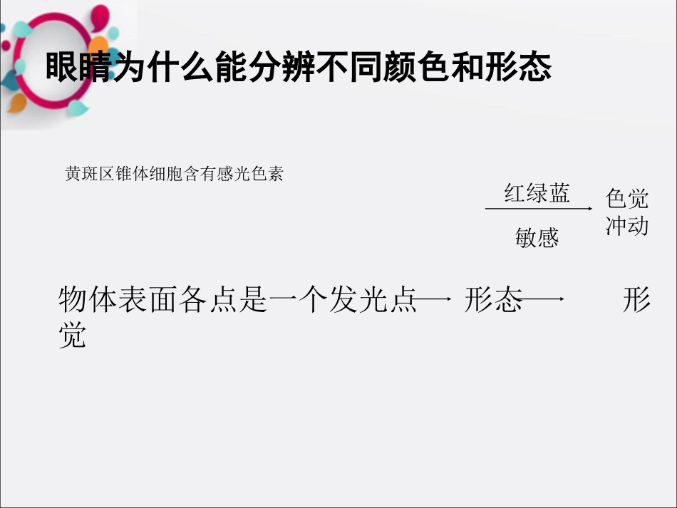 《眼科基础知识》 (1)_第15页