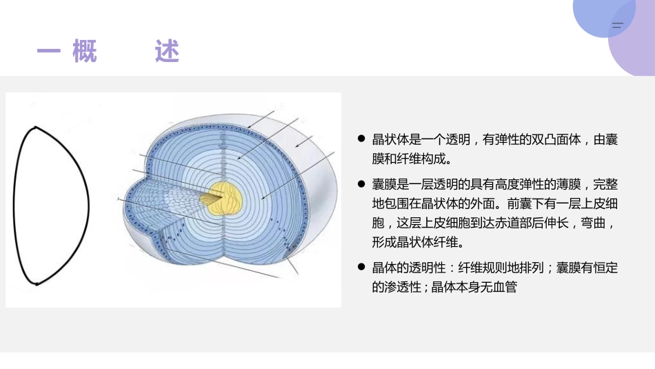 白内障的诊断与治疗(1)_第2页
