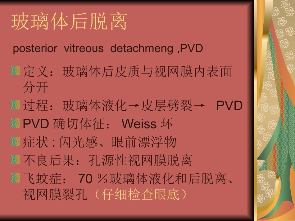 玻璃体疾病(1)_第13页