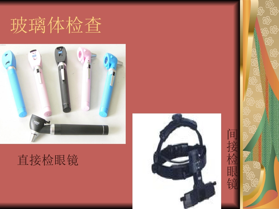 玻璃体疾病(1)_第7页