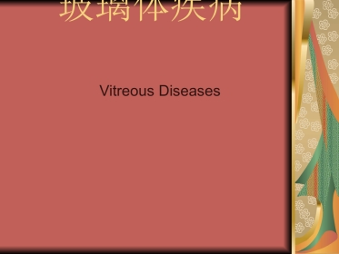 玻璃体疾病(1)