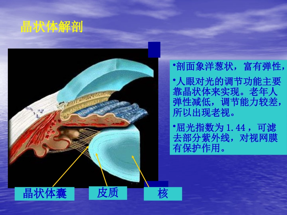 白内障(3)_第3页