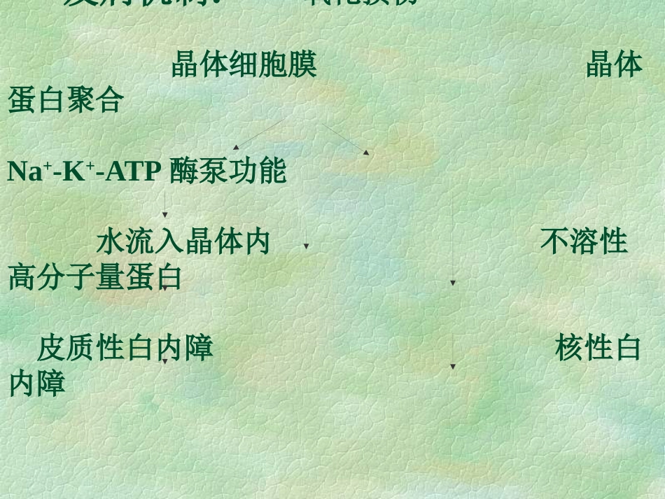 白内障(4)_第12页