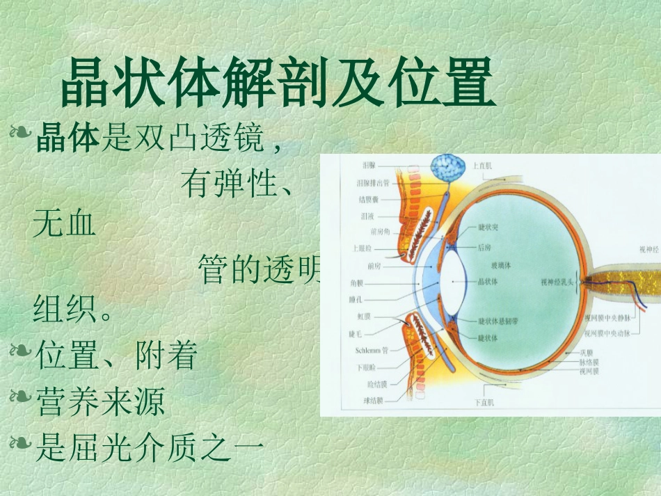 白内障(4)_第2页