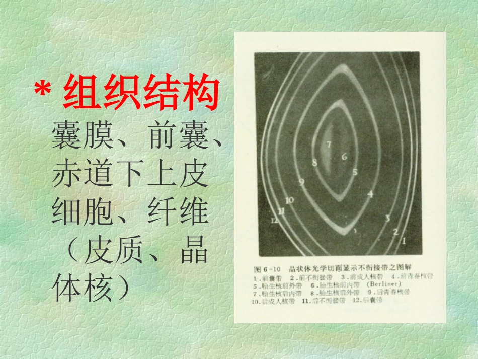 白内障(4)_第3页