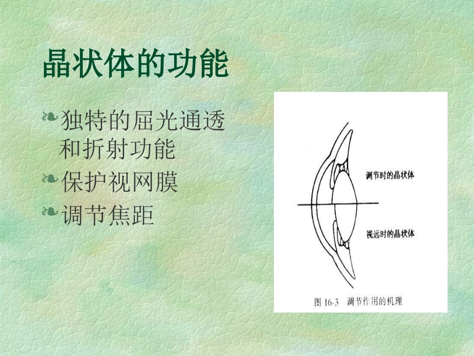 白内障(4)_第5页