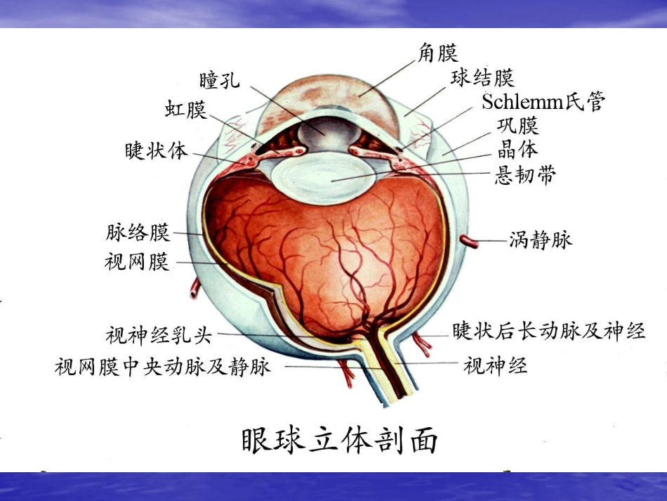 白内障(5)_第5页