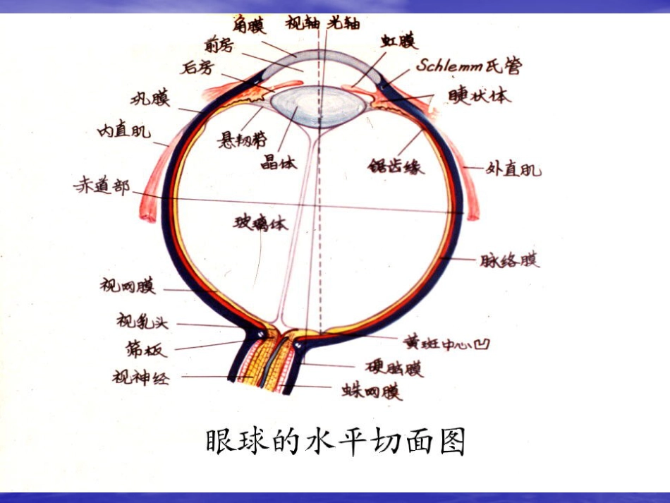 白内障(5)_第6页