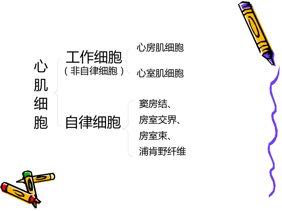 麻醉与循环_第4页