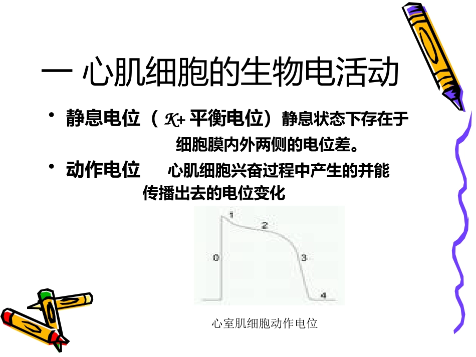 麻醉与循环_第5页