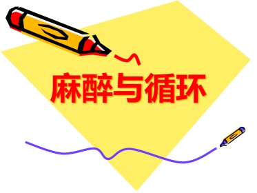 麻醉与循环