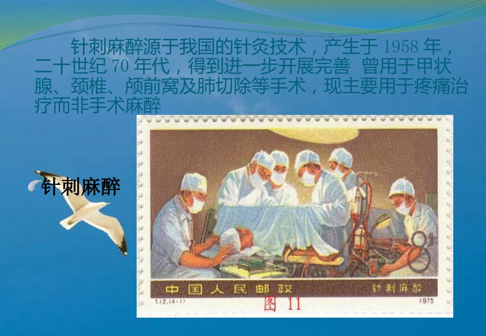 《临床麻醉学绪论》ppt课件_第13页