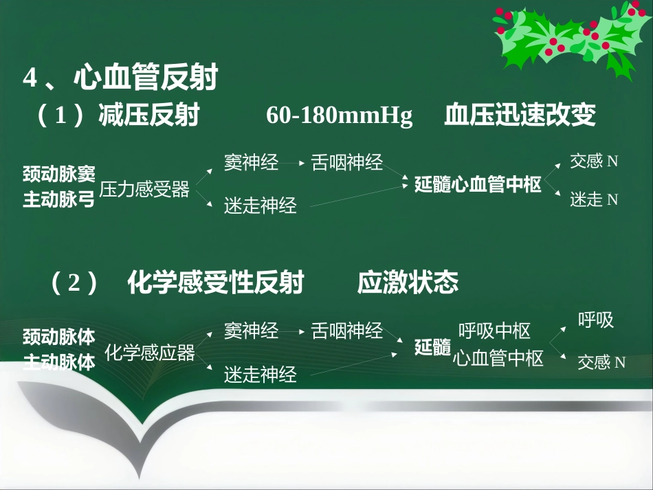 《麻醉与循环》_第11页