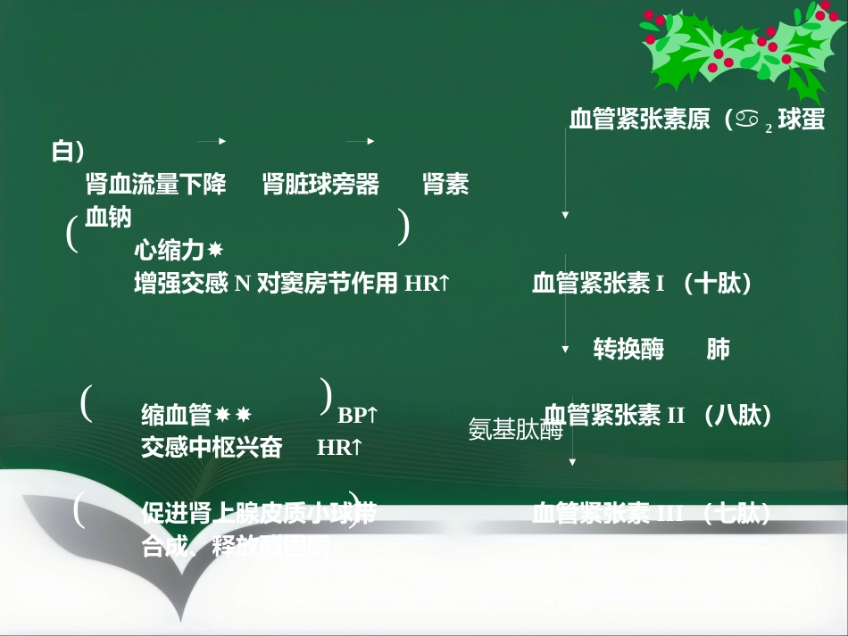 《麻醉与循环》_第13页