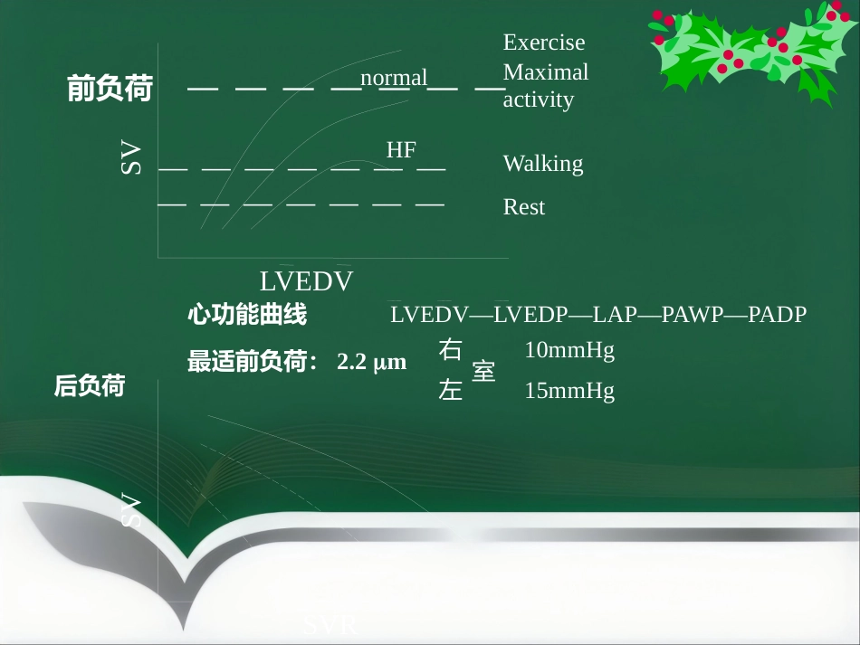 《麻醉与循环》_第3页