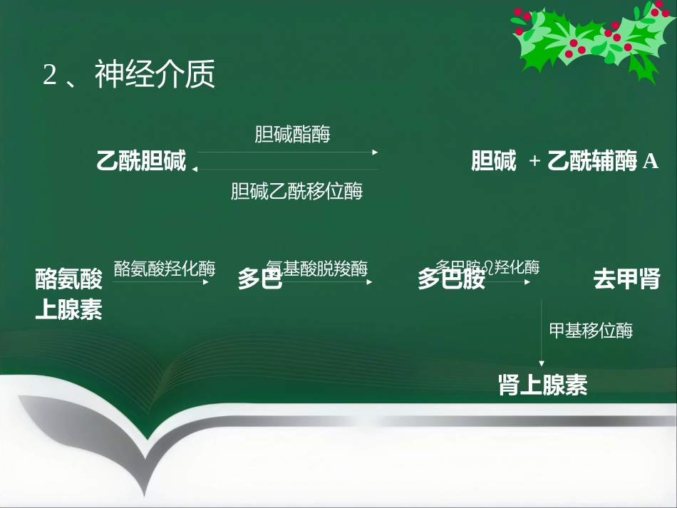 《麻醉与循环》_第8页