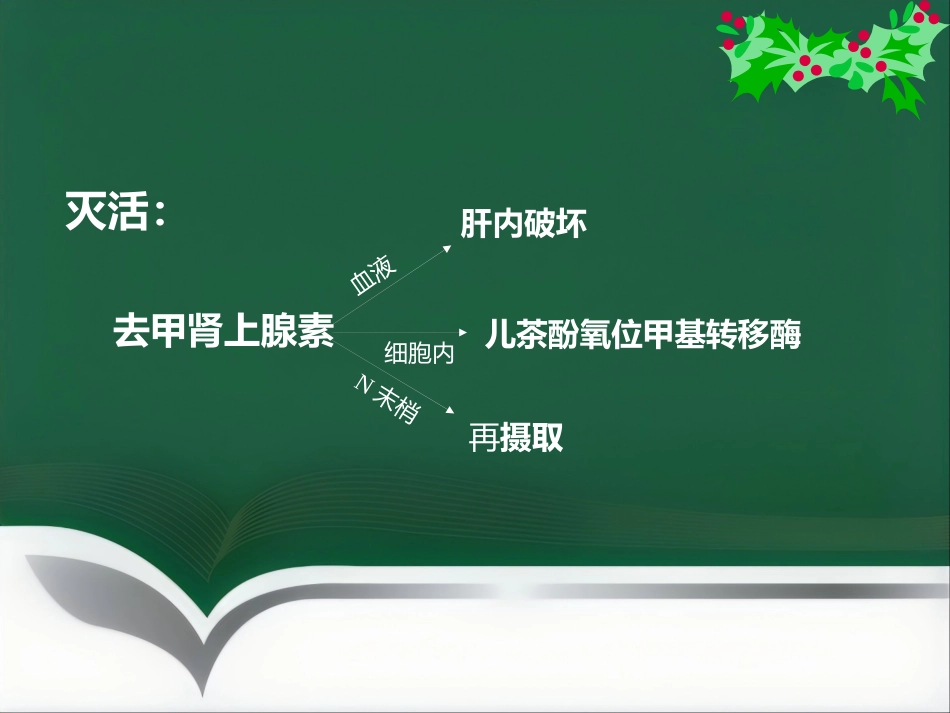 《麻醉与循环》_第9页