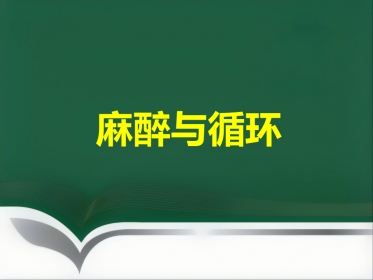《麻醉与循环》