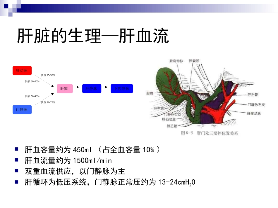 麻醉与肝脏_第4页