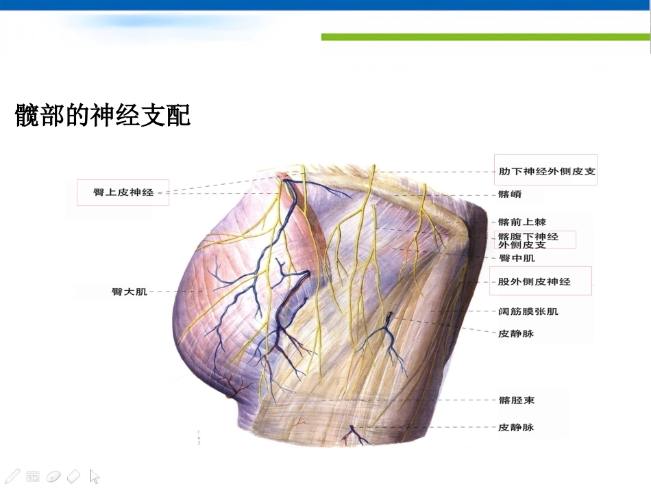 高龄危重患者髋关节手术麻醉处理体会_第6页