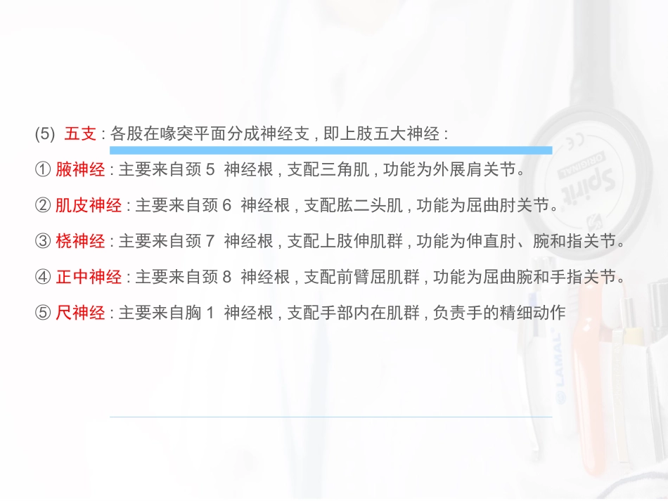 臂丛神经阻滞麻醉_第3页