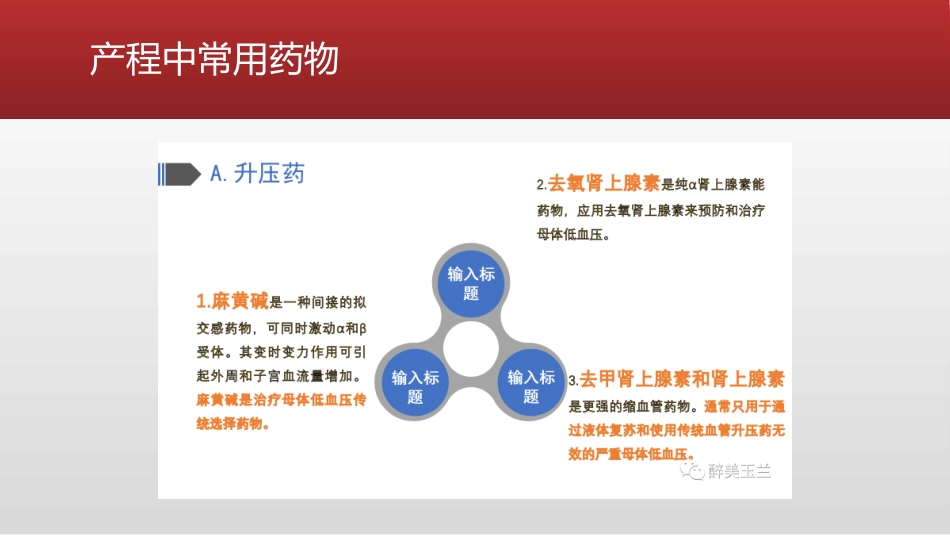产科手术的麻醉管理_第13页