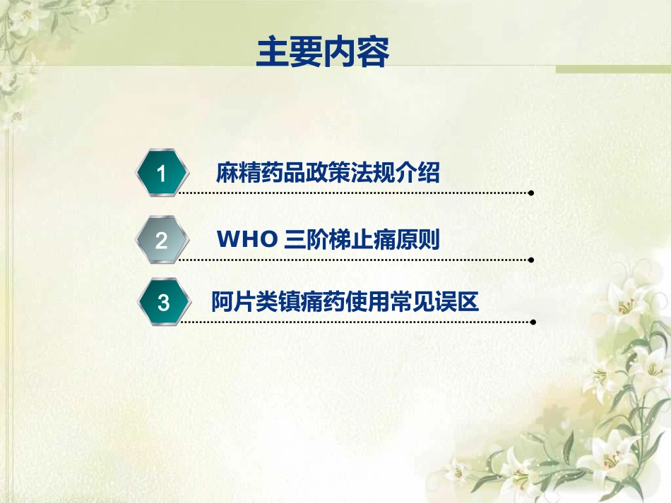 麻醉药品和精神药品合理应用_第2页