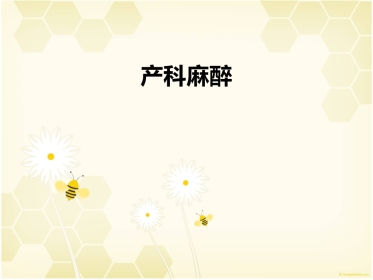 产科麻醉(2)