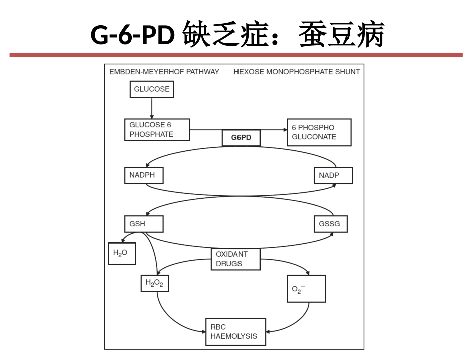 G-6-PD缺乏症”病人的麻醉课件_第4页