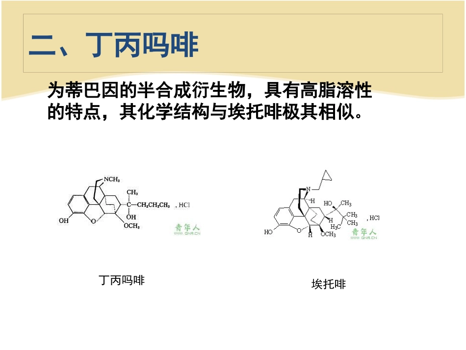 阿片受体部分激动药——麻醉药理学548_第10页