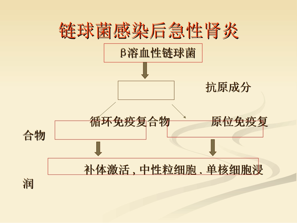 肾内科-肾小球肾炎_第5页