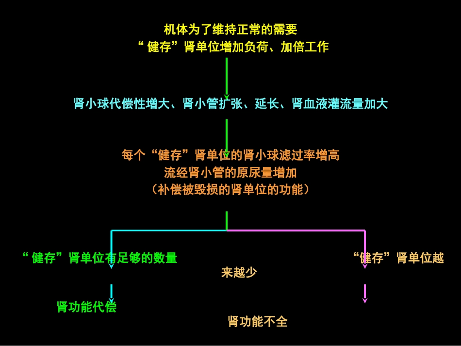 肾内科-慢性肾衰课件_第9页