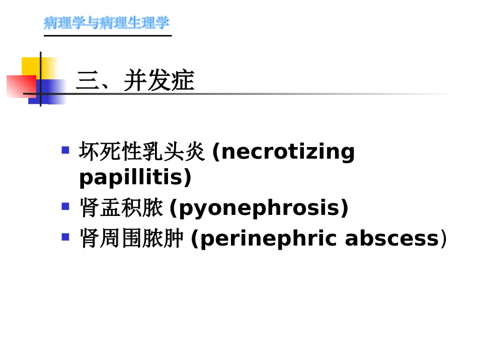 肾内科-肾盂肾炎1_第13页