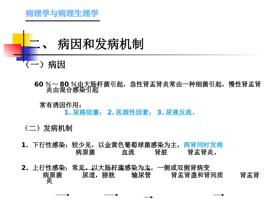 肾内科-肾盂肾炎1_第3页