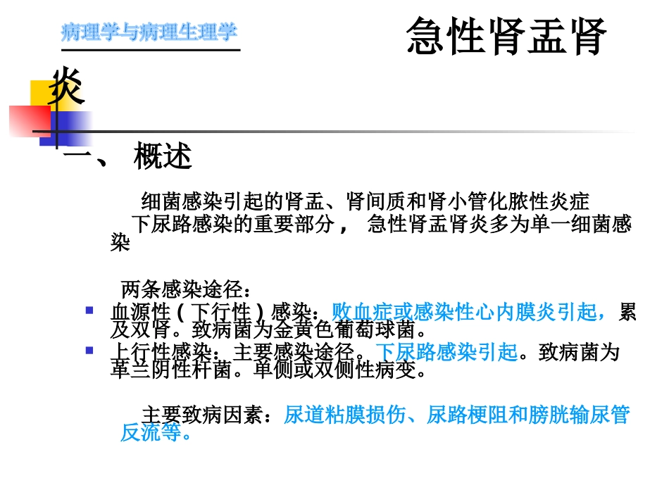 肾内科-肾盂肾炎1_第5页
