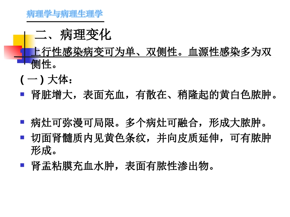 肾内科-肾盂肾炎1_第6页