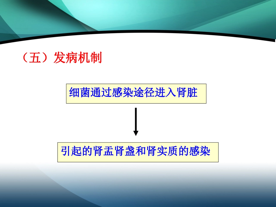 肾内科-肾盂肾炎2_第11页