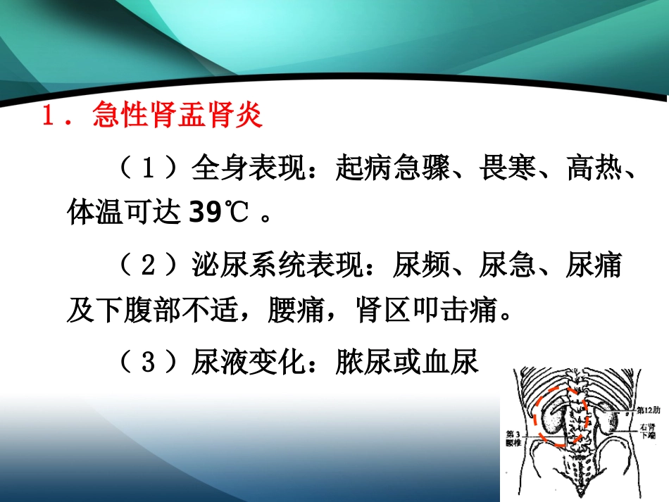 肾内科-肾盂肾炎2_第13页