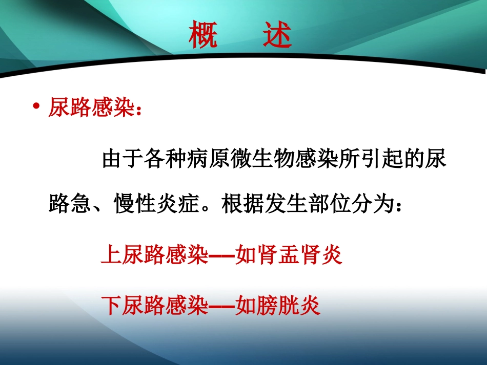 肾内科-肾盂肾炎2_第4页