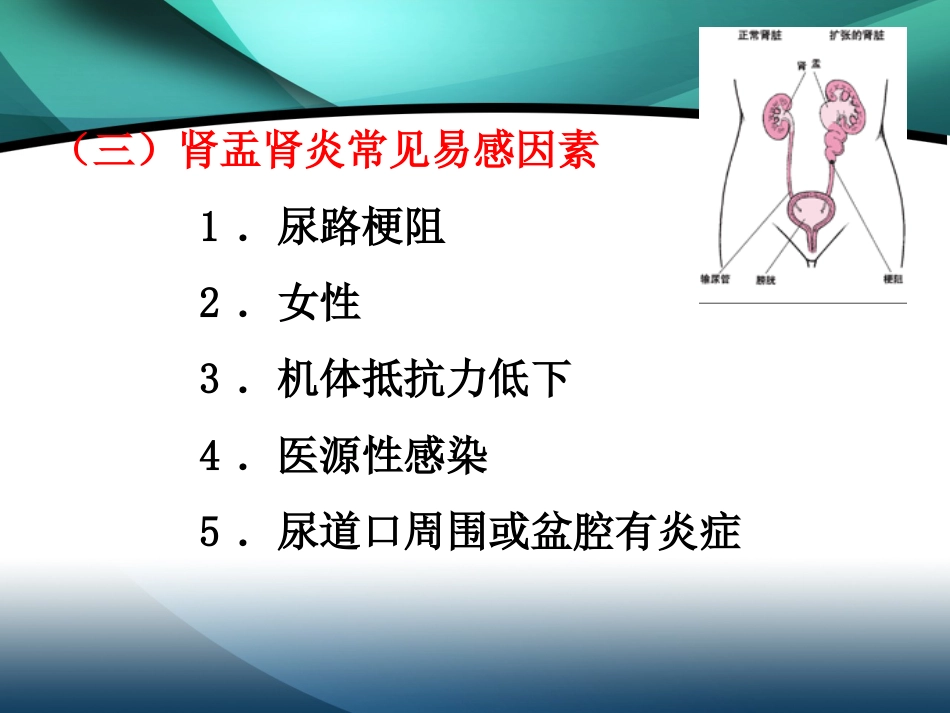 肾内科-肾盂肾炎2_第9页