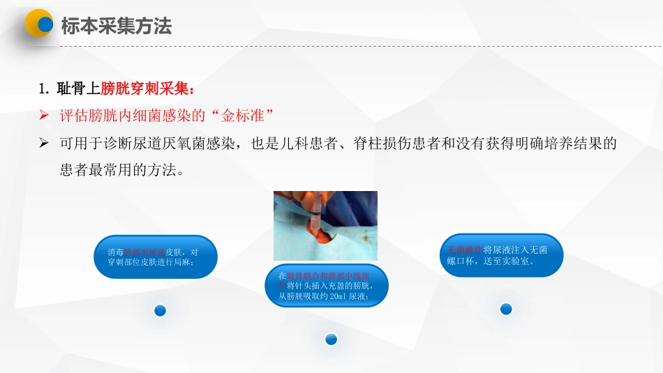 导尿管相关尿路感染预防与控制_第15页