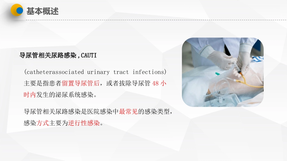导尿管相关尿路感染预防与控制_第4页